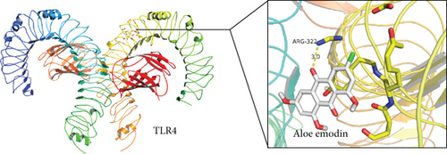 Details are in the caption following the image Details are in the caption following the image