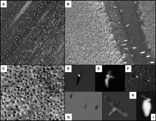 Details are in the caption following the image Details are in the caption following the image