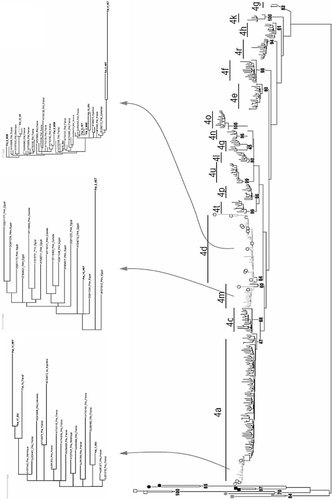 Details are in the caption following the image Details are in the caption following the image