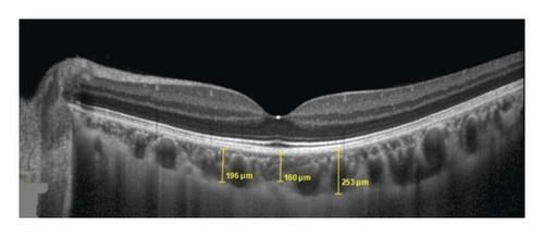 Details are in the caption following the image Details are in the caption following the image