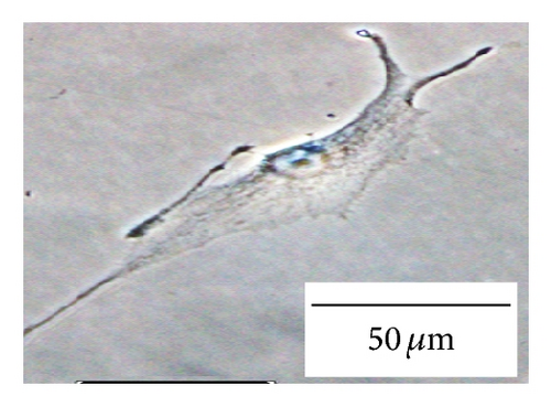 Details are in the caption following the image