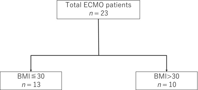 Association of obesity paradox with prognosis of veno-venous-extracorporeal membrane oxygenation in patients with coronavirus disease 2019