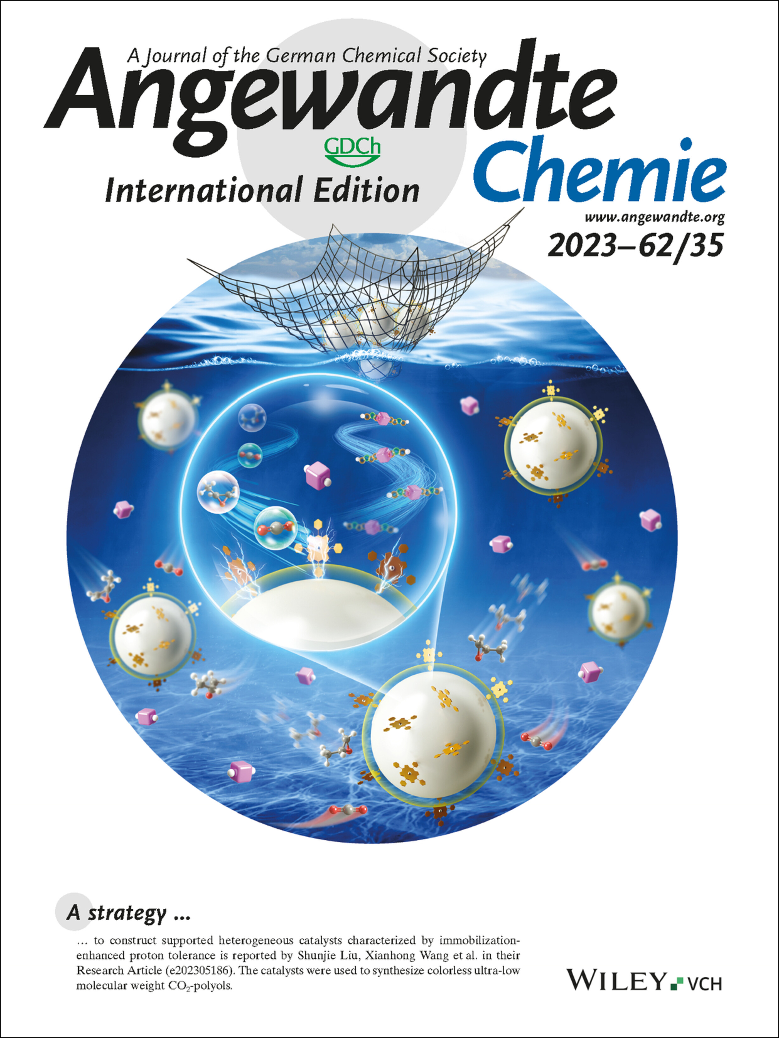 Inside Cover: A Supported Catalyst that Enables the Synthesis of Colorless CO2-Polyols with Ultra-Low Molecular Weight (Angew. Chem. Int. Ed. 35/2023) Volume 62 Issue 35, 2023