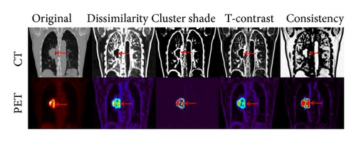 Details are in the caption following the image Details are in the caption following the image