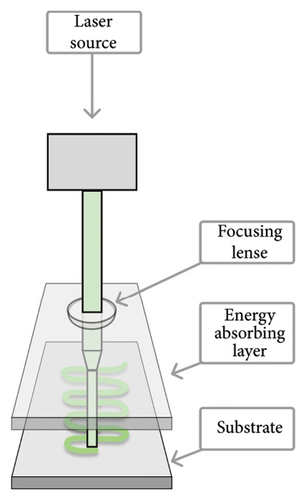 Details are in the caption following the image Details are in the caption following the image