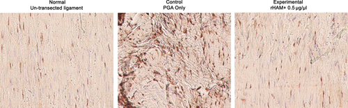 Details are in the caption following the image