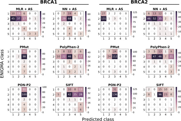 BRCA1- and BRCA2-specific in silico tools for variant interpretation in the CAGI 5 ENIGMA challenge