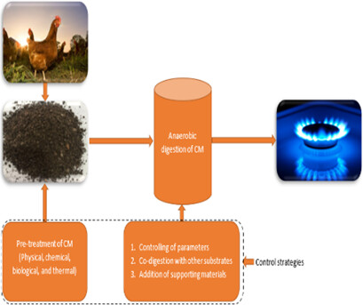 Control Strategies for Enhanced Biogas Production from Chicken Manure