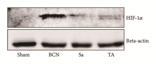 Details are in the caption following the image