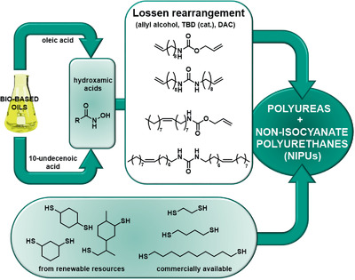 Fully Renewable Non-Isocyanate Polyurethanes via the Lossen Rearrangement