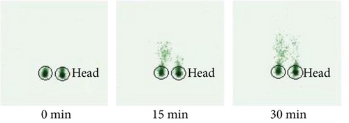 Details are in the caption following the image Details are in the caption following the image