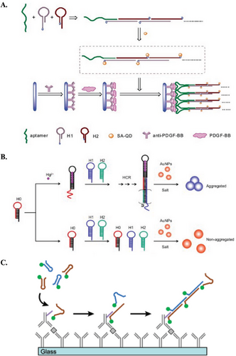 Details are in the caption following the image Details are in the caption following the image