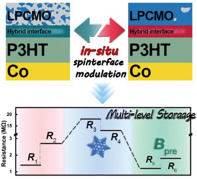 The In Situ Optimization of Spinterface in Polymer Spin Valve by Electronic Phase Separated Oxides