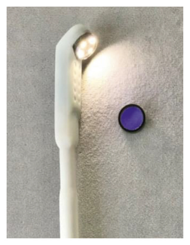 Details are in the caption following the image Details are in the caption following the image