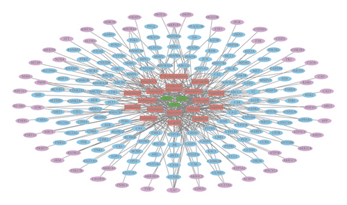 Details are in the caption following the image Details are in the caption following the image