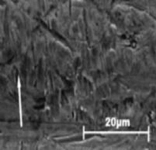 Details are in the caption following the image