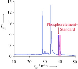 Absolute and Accurate Quantification of Protein Phosphorylation by Using an Elemental Phosphorus Standard and Element Mass Spectrometry