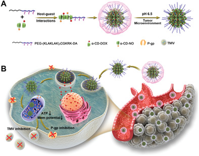 ATP Suppression by pH-Activated Mitochondria-Targeted Delivery of Nitric Oxide Nanoplatform for Drug Resistance Reversal and Metastasis Inhibition