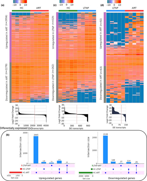 Differential transcriptional and functional properties of regulatory T cells in HIV-infected individuals on antiretroviral therapy and long-term non-progressors