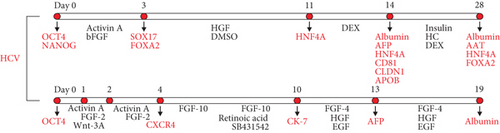 Details are in the caption following the image