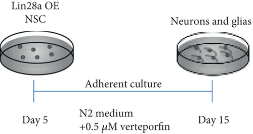 Details are in the caption following the image
