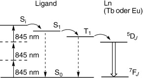 Green and Red Three-Photon Upconversion from Polymeric Lanthanide(III) Complexes