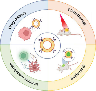 Cellular Membrane Components-Mediated Cancer Immunotherapeutic Platforms