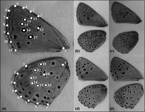 Details are in the caption following the image