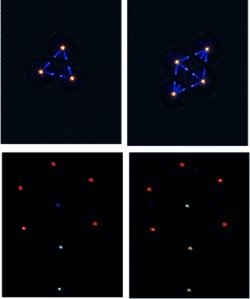 Light-Directing Omnidirectional Circularly Polarized Reflection from Liquid-Crystal Droplets
