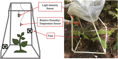 Details are in the caption following the image Details are in the caption following the image