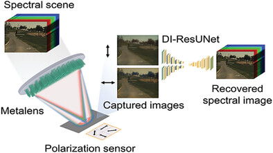 Neural-Optic Co-Designed Polarization-Multiplexed Metalens for Compact Computational Spectral Imaging