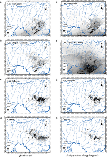 Details are in the caption following the image Details are in the caption following the image