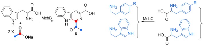 Discovery of McbB, an Enzyme Catalyzing the β-Carboline Skeleton Construction in the Marinacarboline Biosynthetic Pathway