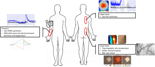 Details are in the caption following the image Details are in the caption following the image