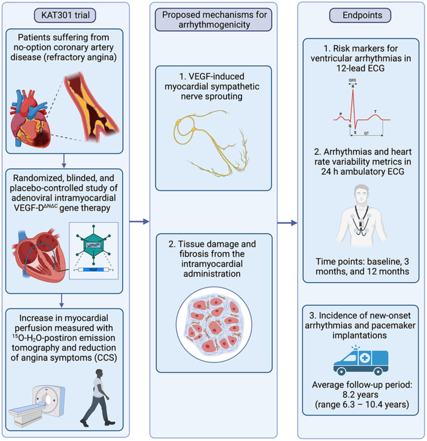 Intramyocardial adenoviral vascular endothelial growth factor-D∆N∆C gene therapy does not induce ventricular arrhythmias