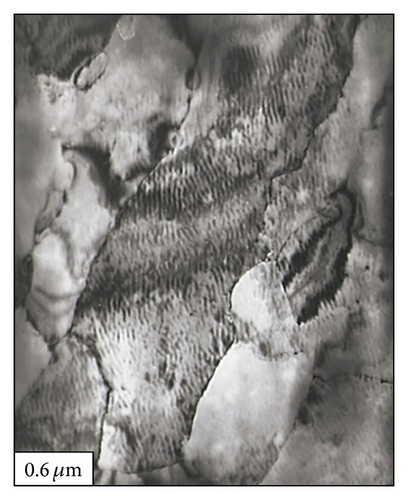 Details are in the caption following the image Details are in the caption following the image