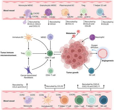 Role of chemokine systems in cancer and inflammatory diseases