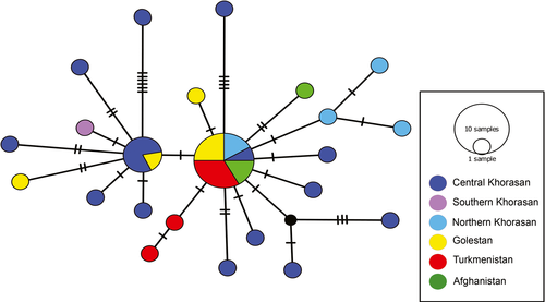 Details are in the caption following the image Details are in the caption following the image