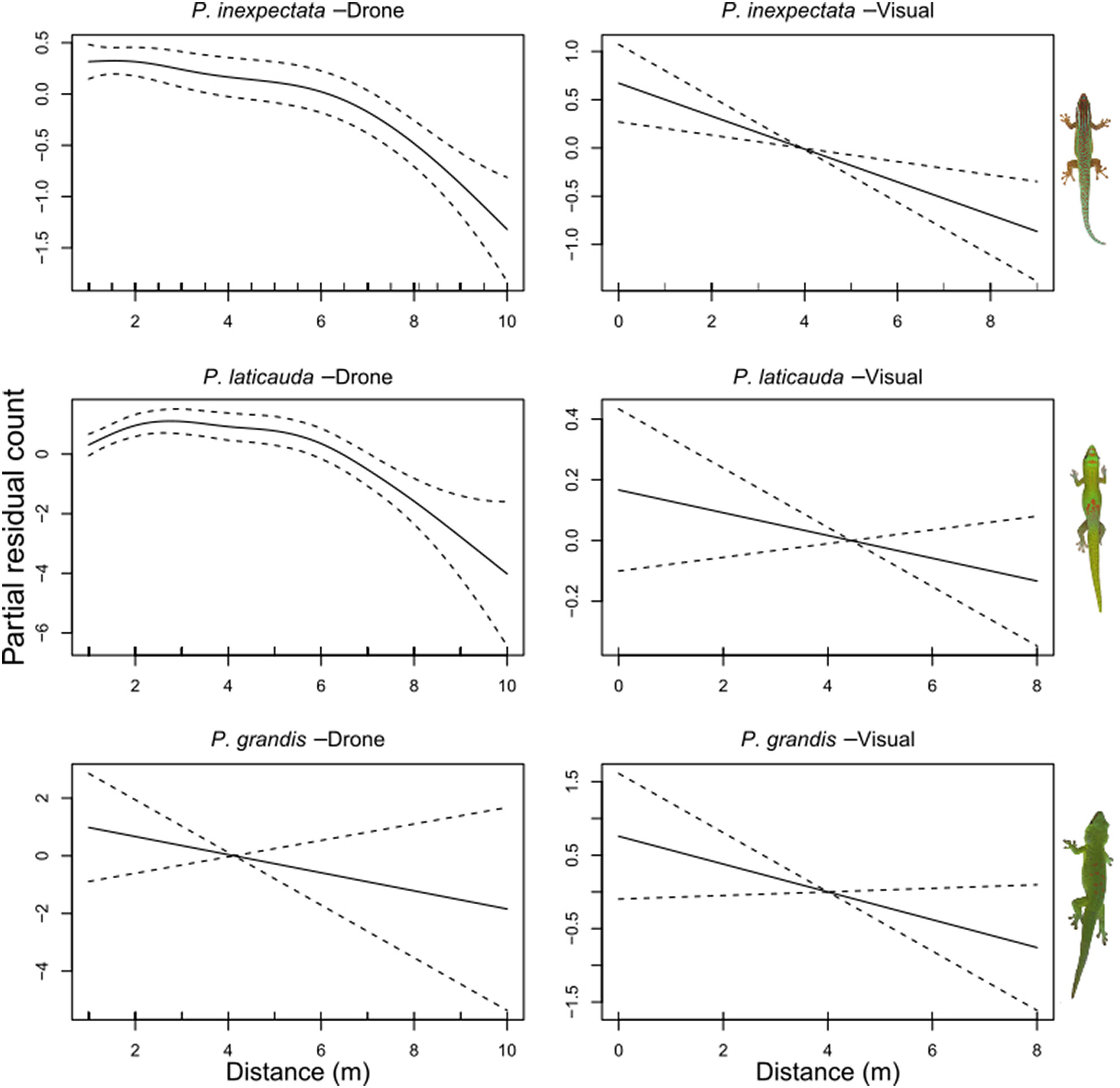 A bird's-eye view: Evaluating drone imagery for the detection and monitoring of endangered and invasive day geckos