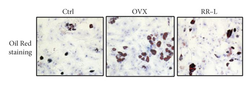 Details are in the caption following the image