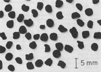 3D DEM-CFD Simulation of the Formation of a Fixed Bed of Activated Carbon Grains, Air and Toluene Permeation and Toluene Adsorption