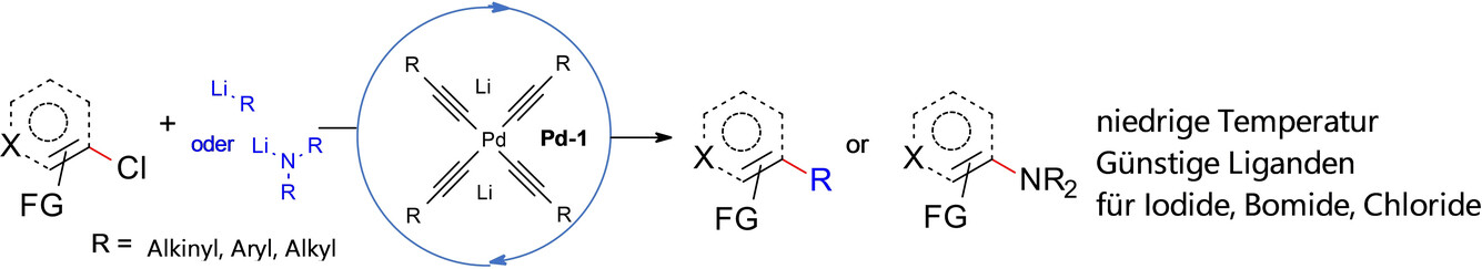 Kopplung von Arylchloriden mit Lithium-Nukleophilen, an molekular definierten Alkynyllithium-Palladium-Katalysatoren
