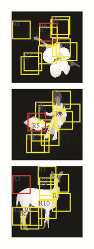 Details are in the caption following the image Details are in the caption following the image