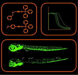 On the Biological Properties of Alkynyl Phosphine Gold(I) Complexes