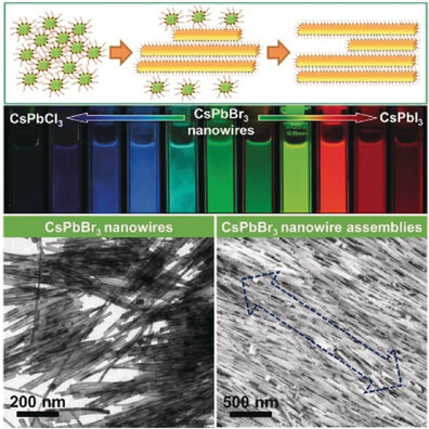 From Precursor Powders to CsPbX3 Perovskite Nanowires: One-Pot Synthesis, Growth Mechanism, and Oriented Self-Assembly