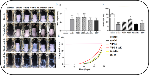 Details are in the caption following the image Details are in the caption following the image