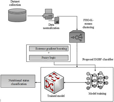 Advancing Nutritional Status Classification With Hybrid Artificial Intelligence: A Novel Methodological Approach