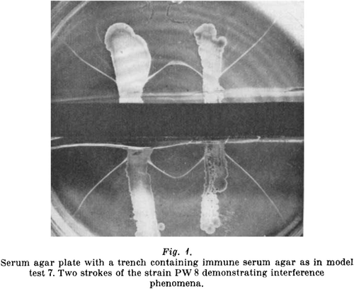 Details are in the caption following the image