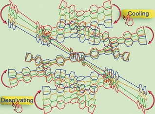 Visualizing the Dynamics of Temperature- and Solvent-Responsive Soft Crystals
