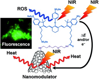 Photofunctional Nanomodulators for Bioexcitation